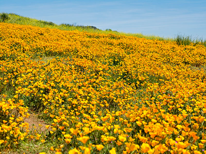 Outdoor lifestyle in Westlake Village CA hiking trails and parks